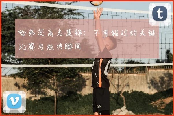 哈弗茨高光集锦:不可错过的关键比赛与经典瞬间